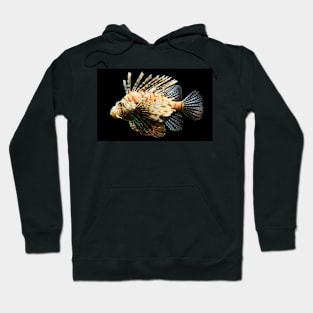 Lionfish Hoodie